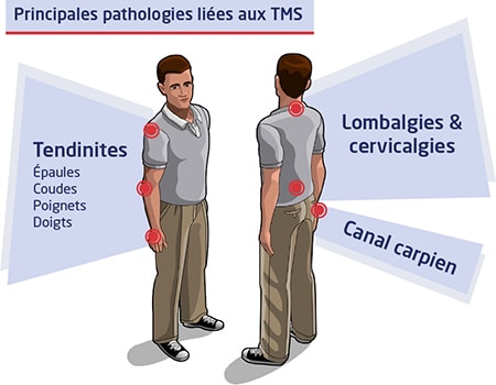 formation tms les principales pathologies